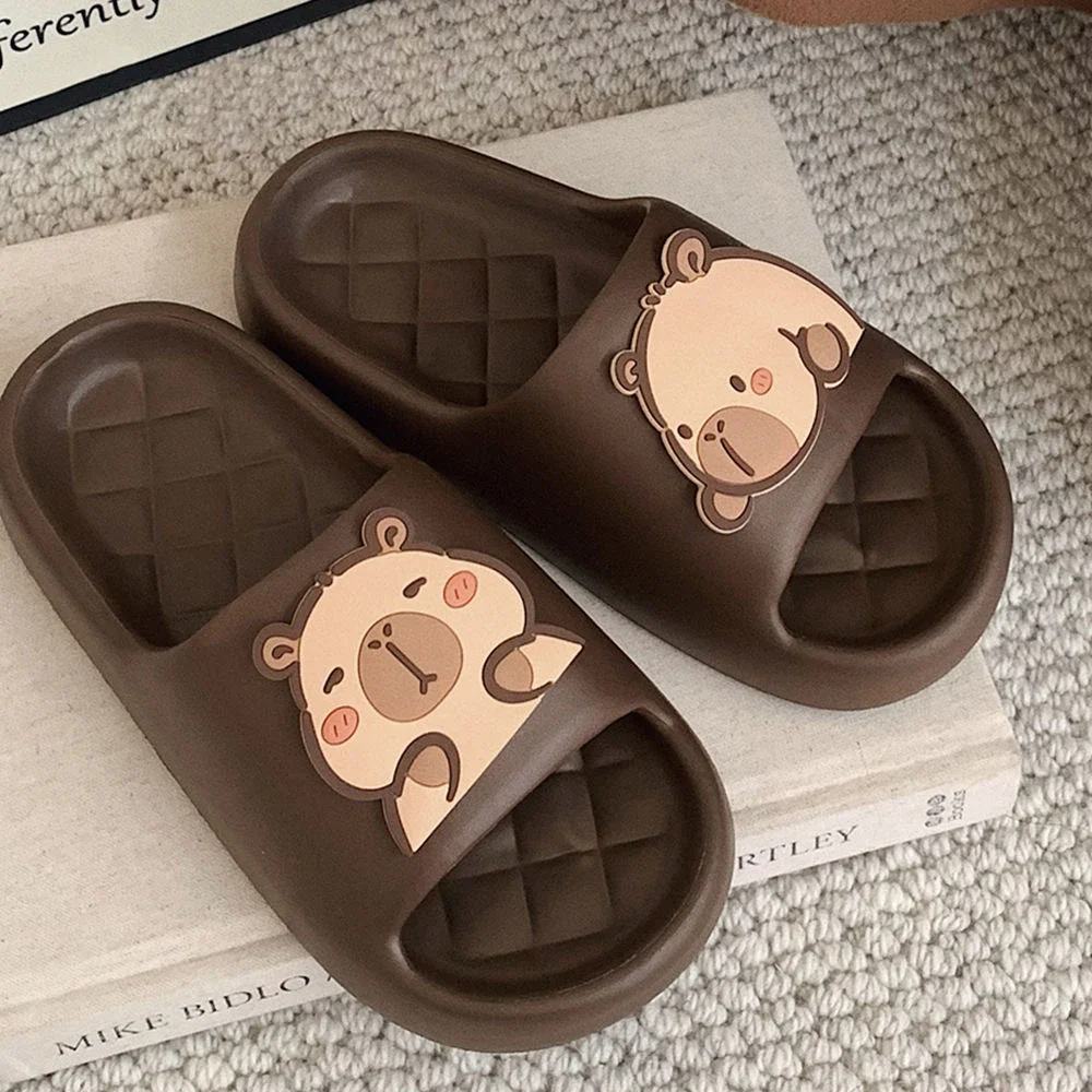 2026 new Cute Capybara Design  - Water Shoes review and price